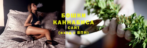 шишки Вяземский