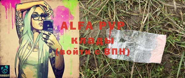 стаф Абинск