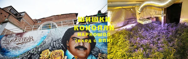 молекула духа Каменка