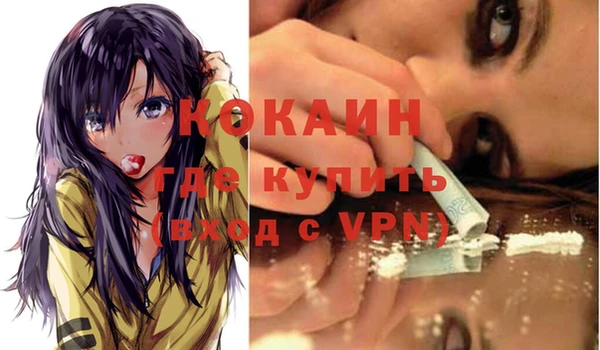 стаф Абинск