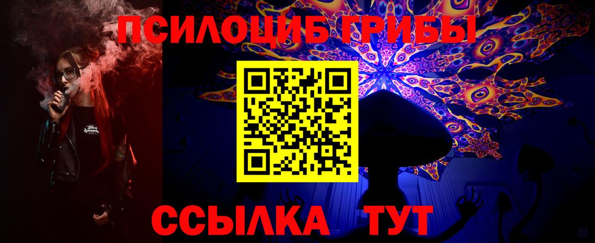Псилоцибиновые грибы прущие грибы Богородицк